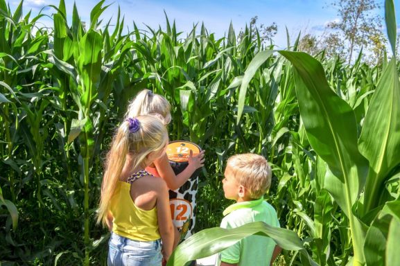maisdoolhof voorthuizen